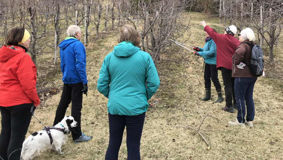 Det var mange som prøvde å bli klok på beskjeringa. Ikkje lett! Det var mange som prøvde å bli klok på beskjeringa. Ikkje lett!