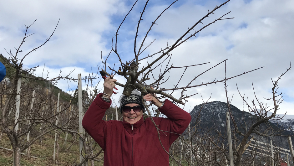 Liv fann seg fin hornpryd! Liv fann seg fin hornpryd!