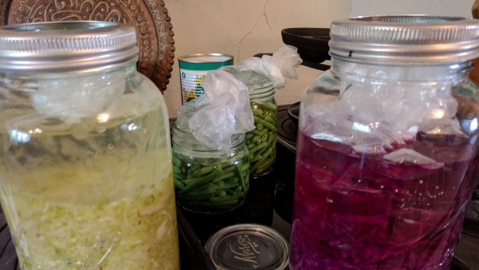 Hodekål, bønner og rødkål bobler av glede