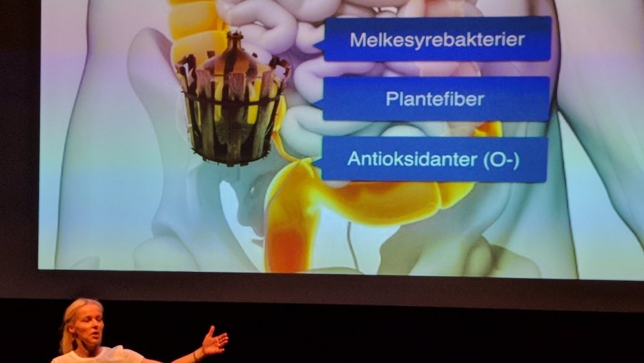 Med lett forståelig billedbruk geleidet hun oss gjennom tarmen og dens innbyggere