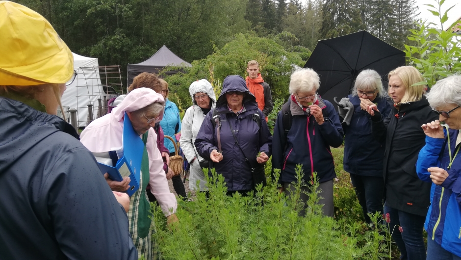 Omvisning i Urtehagen ved Mimi Vooren og Trine Steen. Inneno å si på frammøte Omvisning i Urtehagen ved Mimi Vooren og Trine Steen. Inneno å si på frammøte