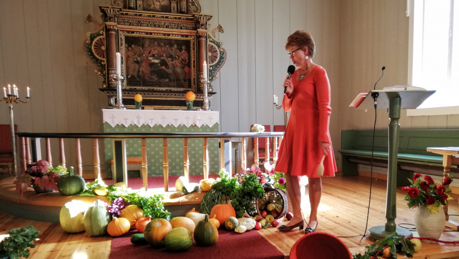 Kathrine Kleveland tok et overblikk og fortalte litt om bakgrunnen for det "stuntet". Kathrine Kleveland tok et overblikk og fortalte litt om bakgrunnen for det "stuntet".