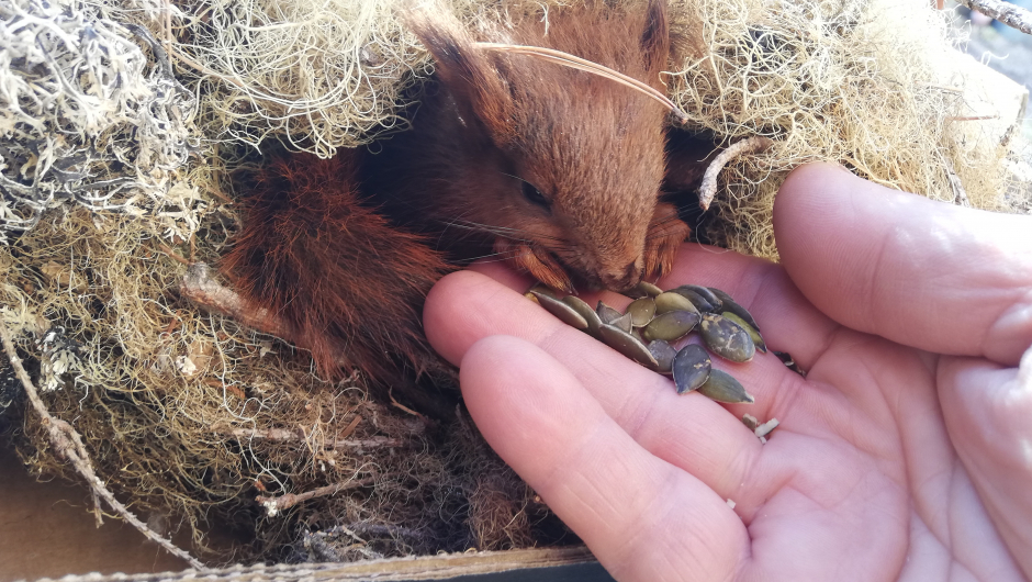 Litt ekstra omsorg i starten... Litt ekstra omsorg i starten...