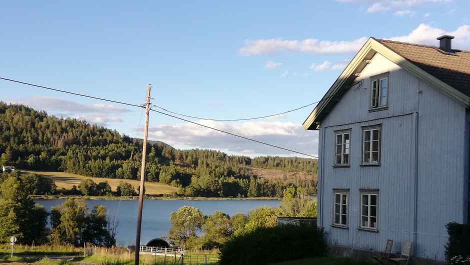 Gården ligger fint til ned mot vannet der mange av oss badet som unger, men hvor blågrønnalgene nå gjør det umulig Gården ligger fint til ned mot vannet der mange av oss badet som unger, men hvor blågrønnalgene nå gjør det umulig