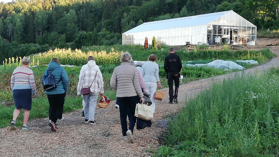 Gjennom åkern opp mot drivhuset mens Hans fortalte om økologisk grønnsakdyrking Gjennom åkern opp mot drivhuset mens Hans fortalte om økologisk grønnsakdyrking