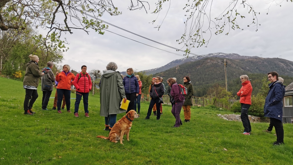 Anne Beth fortel om bruken av alm før og no
