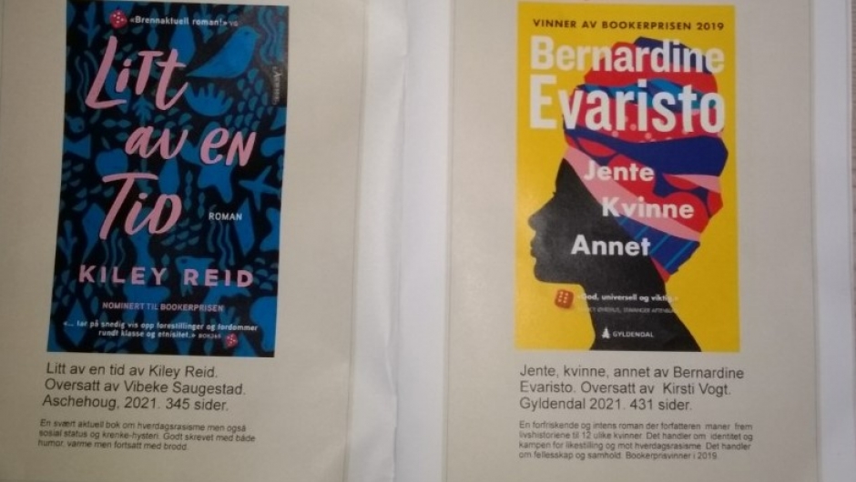 Gode bøker med viktige temaer; hverdagsrasisme og sterke kvinners roller og utfordringer