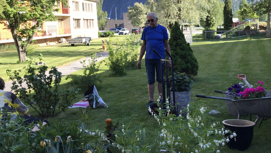 Oddbjørn er trufast i dugnadsgjengen,- her planting av hortensia. Oddbjørn er trufast i dugnadsgjengen,- her planting av hortensia.