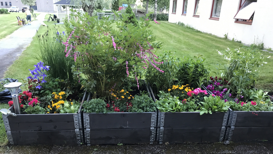 Litt av resultatet! Litt av resultatet!