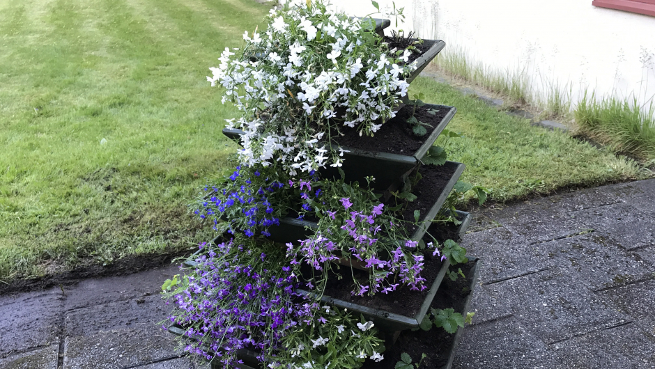 Jordbærpyramiden fekk litt nye plantar og lobelia på baksida. Jordbærpyramiden fekk litt nye plantar og lobelia på baksida.