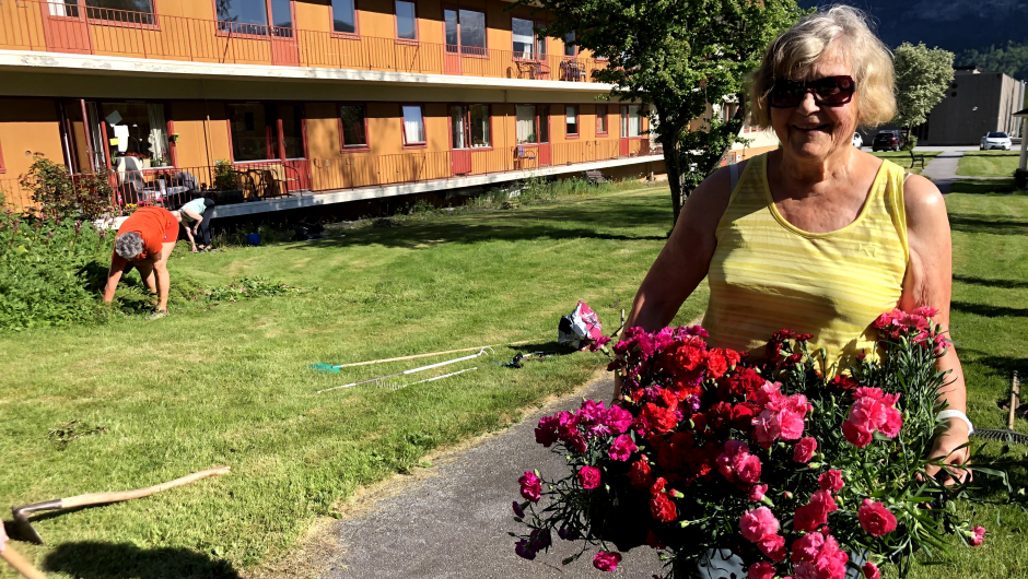 Solveig med fanget fullt av nellikar, - gratis frå Linge Gartneri! Solveig med fanget fullt av nellikar, - gratis frå Linge Gartneri!