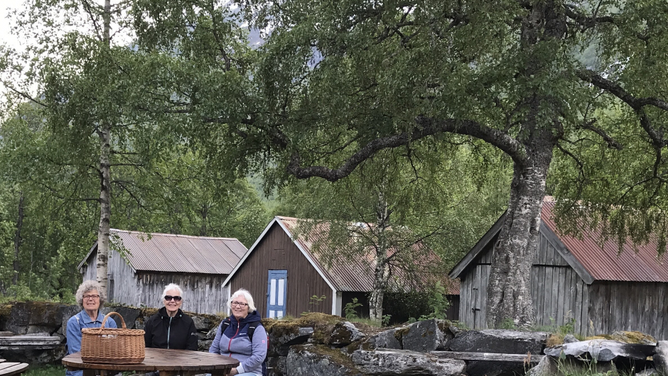 Tre spreke damer som gjekk fram til setra. Lang fjelltur tidlegare på dag også! Tre spreke damer som gjekk fram til setra. Lang fjelltur tidlegare på dag også!