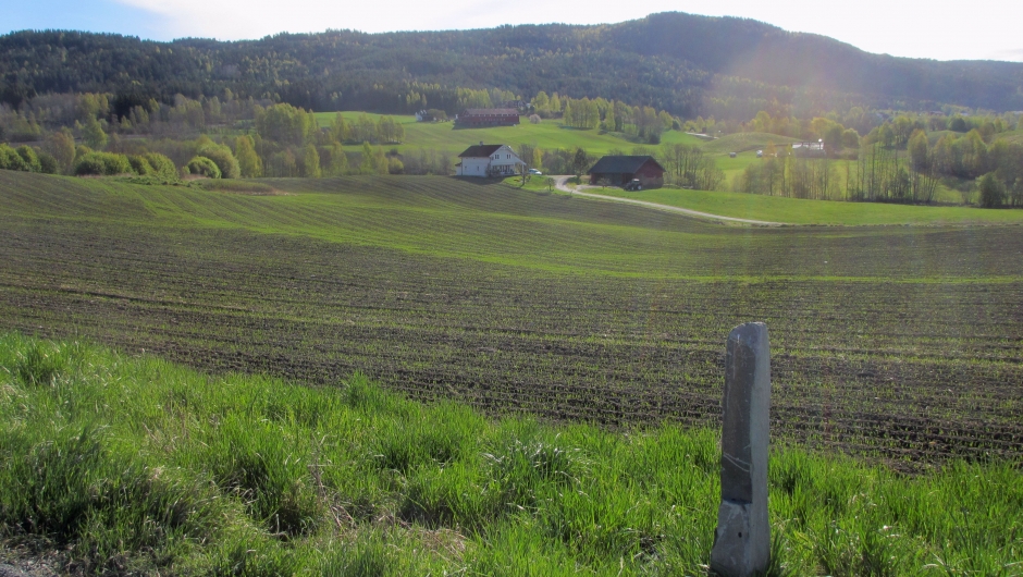 Våren kjem i Heddal også i 2017