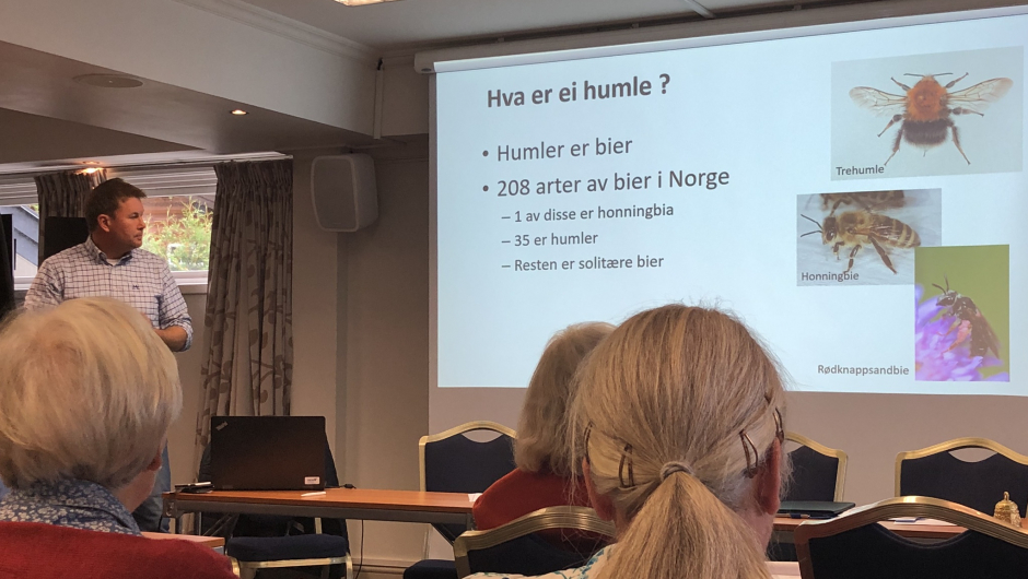 Tema: «La humla suse». Tema: «La humla suse».