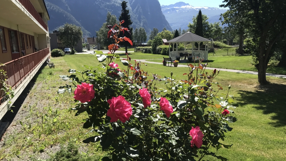 Romance er alltid fin. Romance er alltid fin.