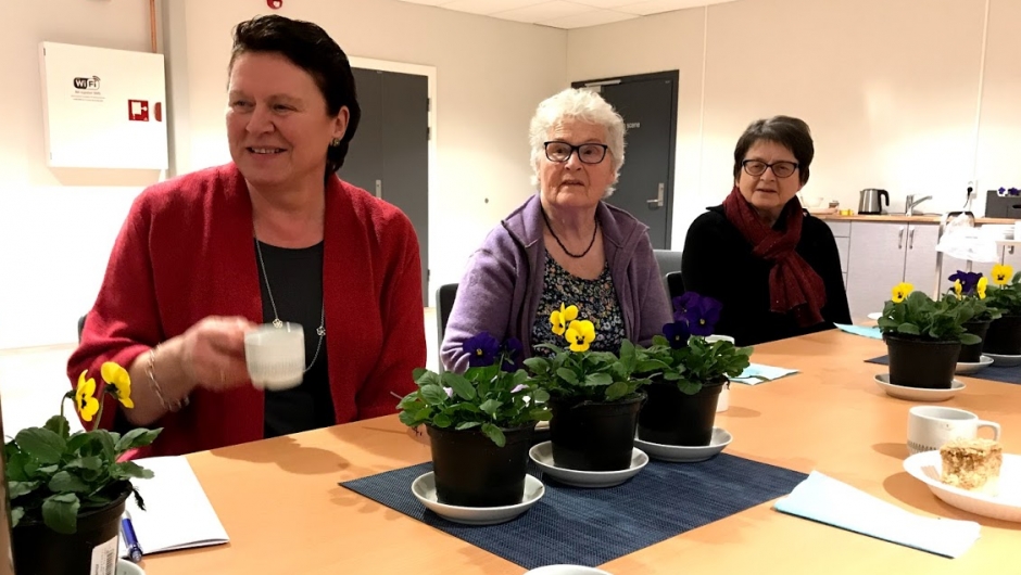 Klar for åresal ! Vårblomster som gevinstar. Klar for åresal ! Vårblomster som gevinstar.