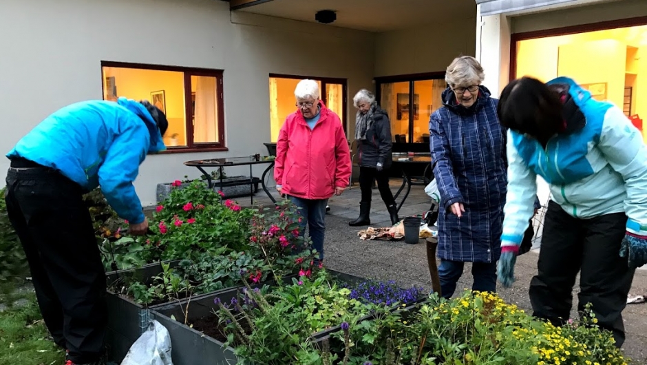 Haustdugnaden i full gang. Haustdugnaden i full gang.