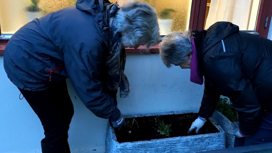 Litt løkar må på plass. Litt løkar må på plass.