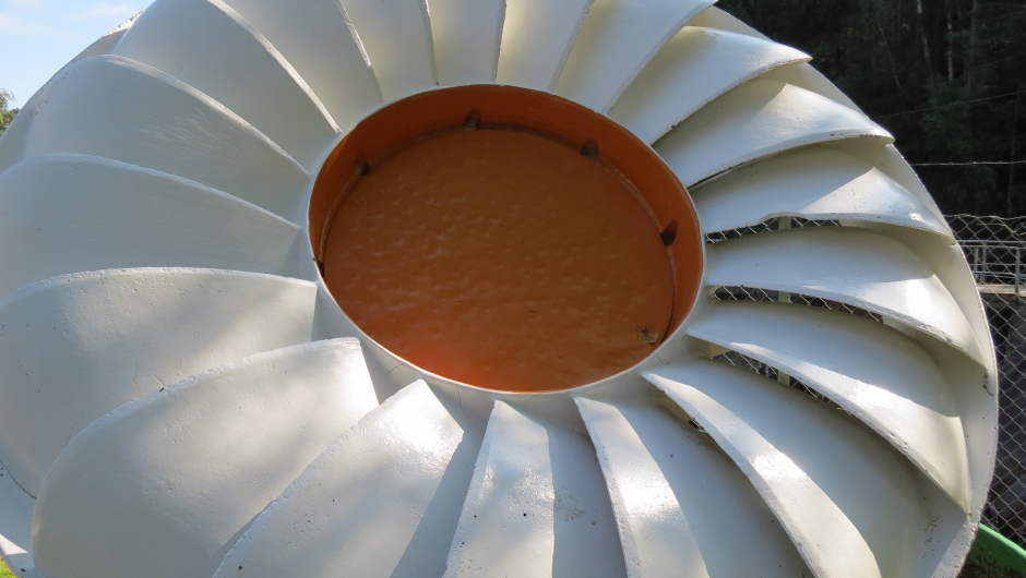 Det blomstrer på flere måter i parken. "Installasjon" av Ståle Kyllingstad