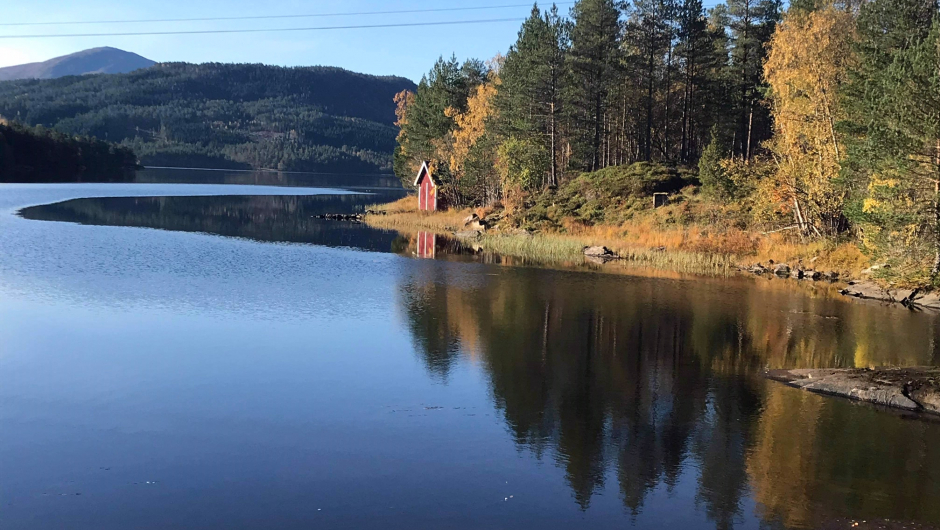 Hanemsvatnet Hanemsvatnet