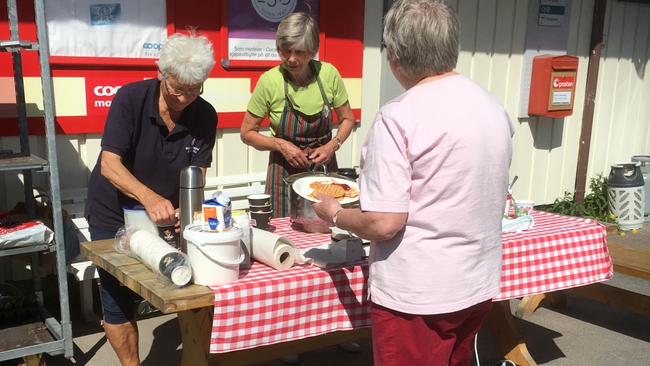 Glimt frå bygdekvinnelagsåret i Uvdal 2017 Fra plantedagen