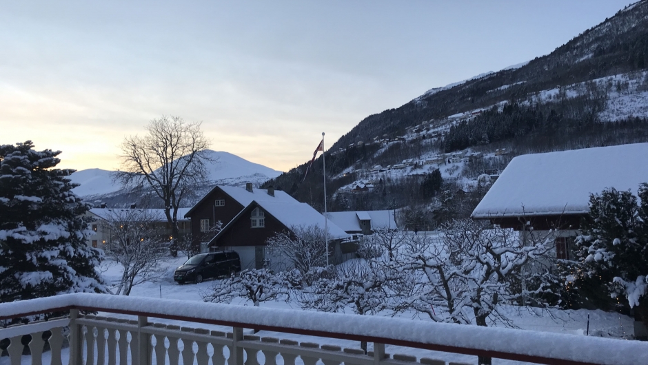 Januarbilde frå verandaen.