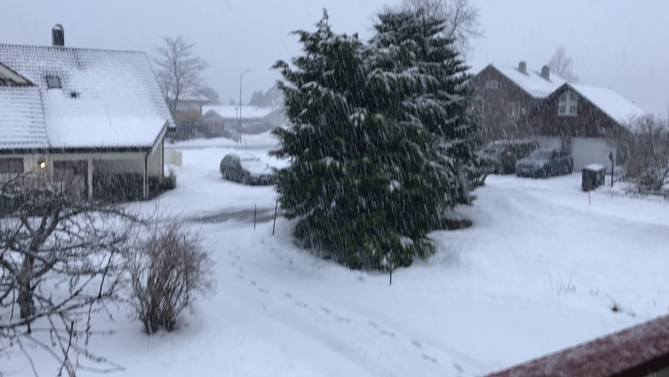 Snø eller regn, eller sludd?