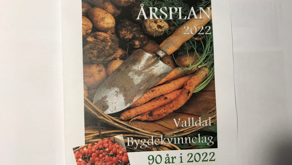 Årsplan 2022