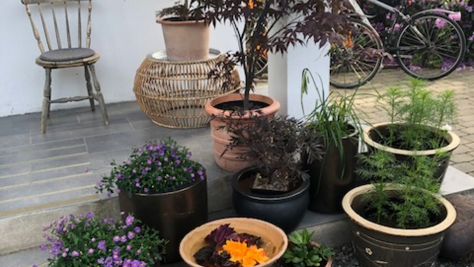 Fra inngangspartiet hos Heidi og Jostein - trivelig velkomst! Fra inngangspartiet hos Heidi og Jostein - trivelig velkomst!