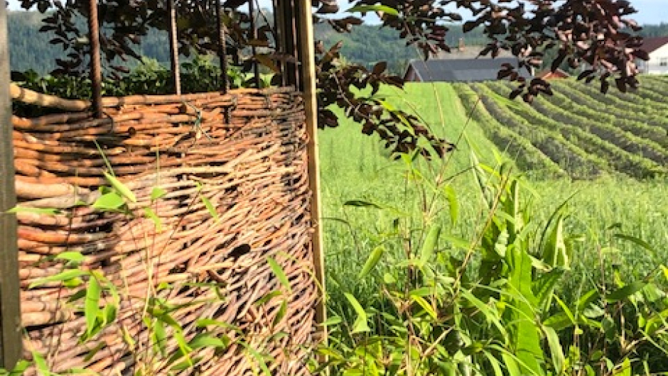 Gjerde i pil mot kulturlandskapet i bygda vår - er vi i Provance? Stramt gjerde i pil står godt mot kulturlandskapet i bakgrunnen