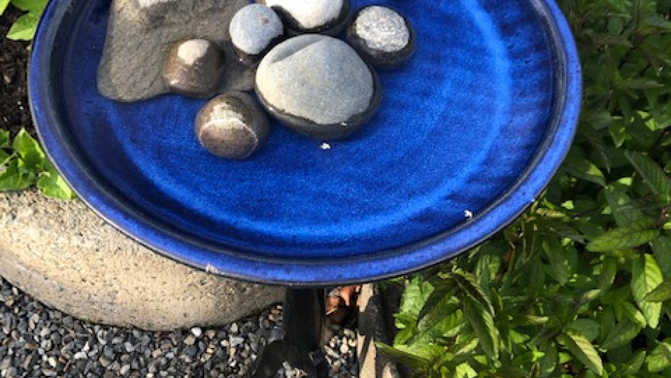 Fuglebad i hagen til Jostein og Heidi