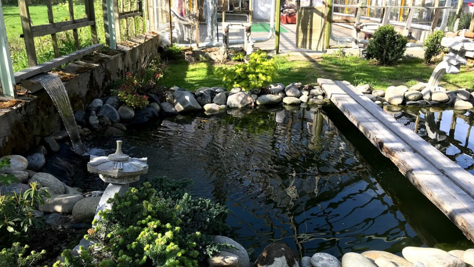 Drivhus som hageanlegg med dam med fiskar i. Drivhus som hageanlegg med dam med fiskar i.