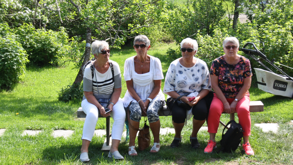 LillAnn Drønen, Ingrid Kristine Træet, Elin Korneliussen og Ellen Rydland
