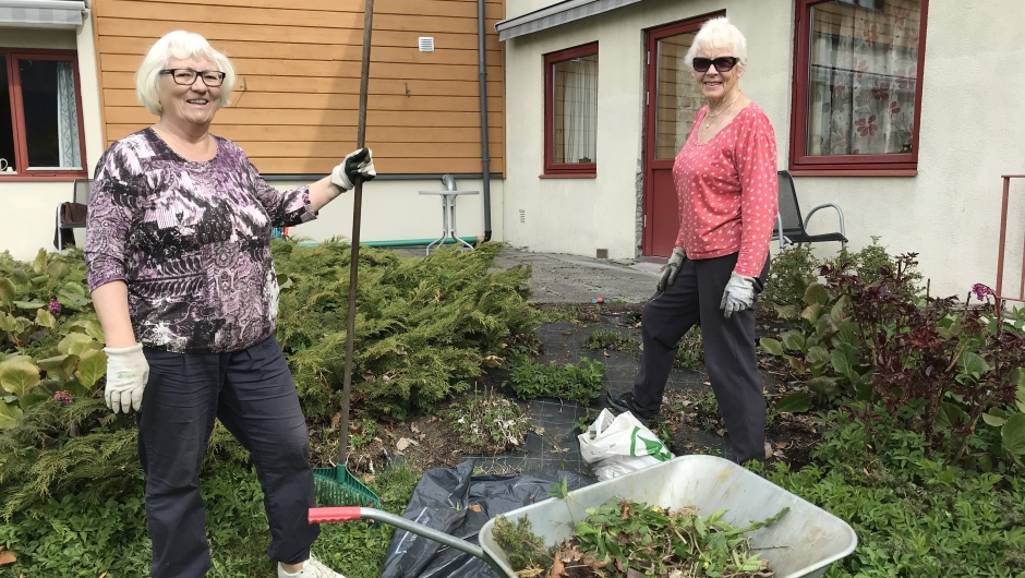 Liv og Anne, skvalderkålet må berre passe seg!