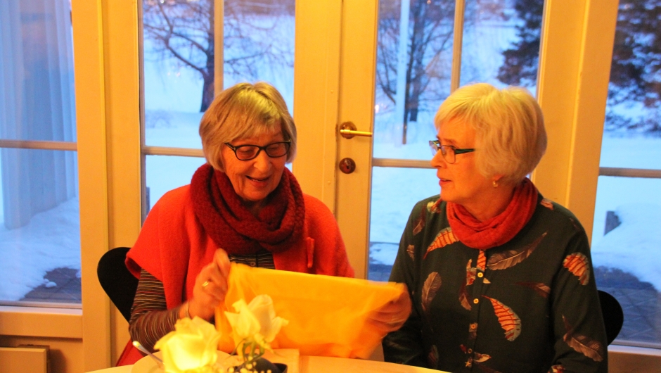 Anne-Marie og Britt inspiserer et gult, kult vervenett! Anne-Marie og Britt inspiserer et gult, kult vervenett!