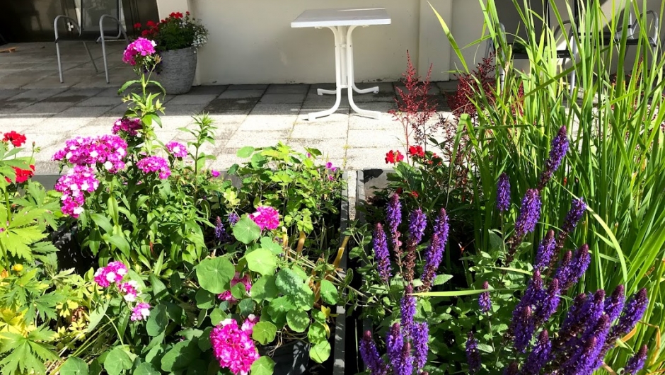 Fine fargar å sjå på. Fine fargar å sjå på.