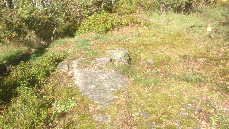 Det var her vi rastet.