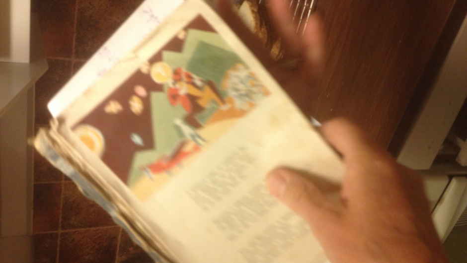 Den gamle leseboka til Anne Bergan - helt uten permer! Dvs godt brukt....