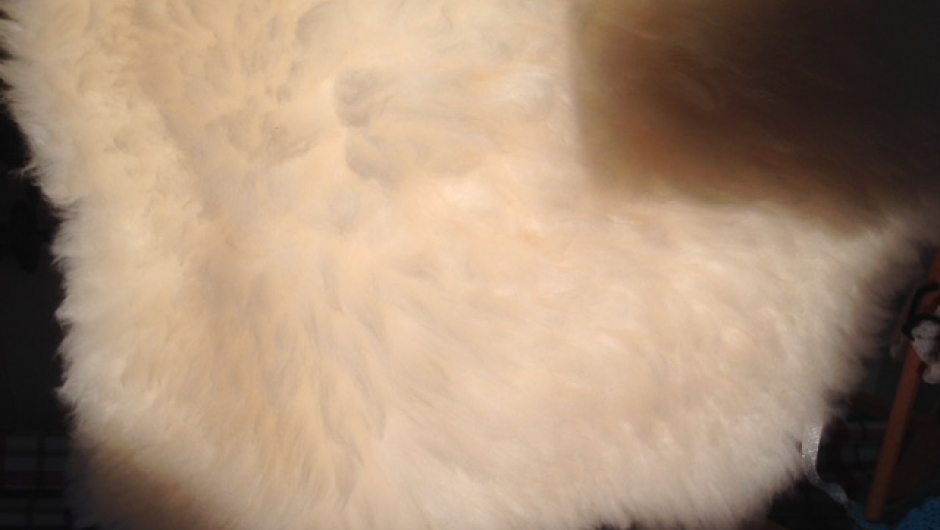 saueskinn fra Fon basar gevinst