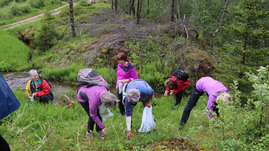 ...i gang .. Foto KS