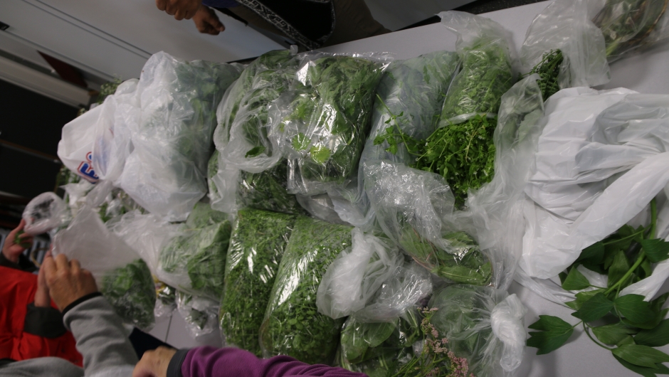 Ville vekster .Foto BjøgS