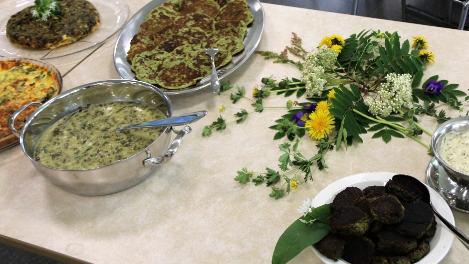 Nydelige retter av de ville vekstene. Foto.BjørgS