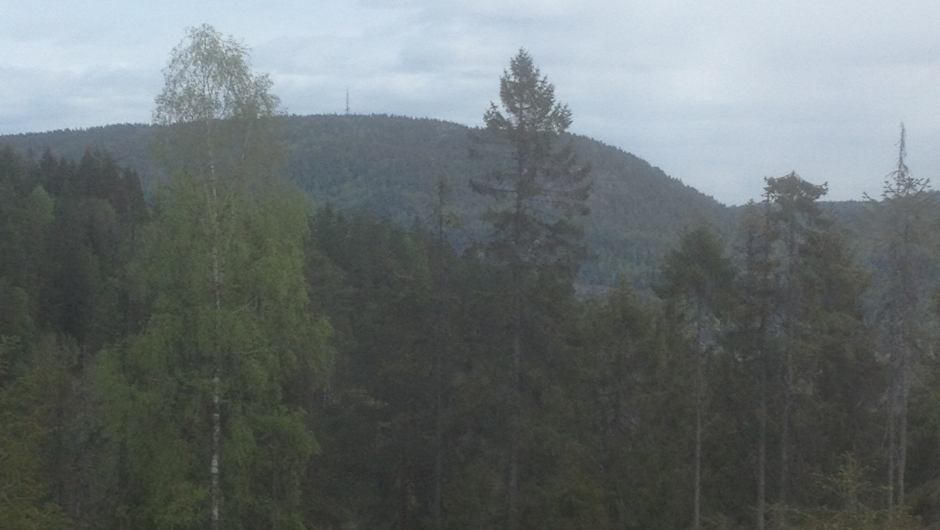 Mellom de to trærne kan masta skimtes