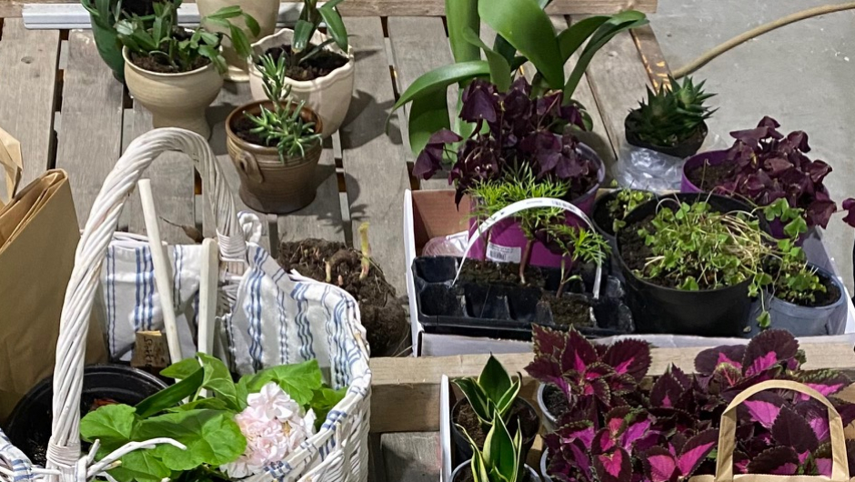 Mye å velge i på auksjonsvogna blomster