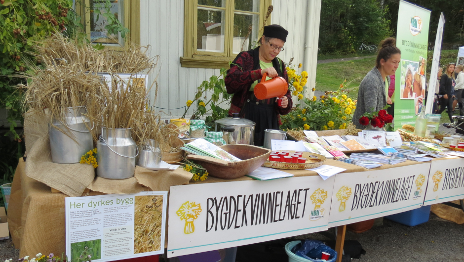 Hillestad bygdekvinnelag bød på saftsuppe med byggryn