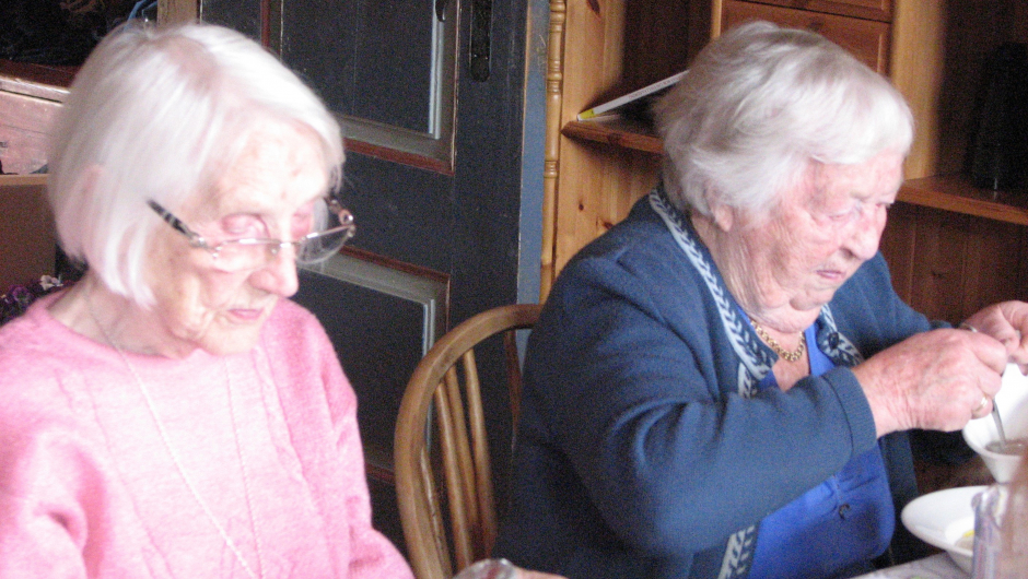 To veteranar ,- Lilly og Nikka ! To veteranar ,- Lilly og Nikka !