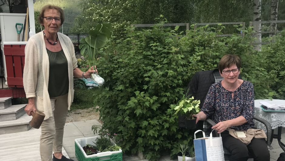 Auksjonarius Gro er klar med klubba! Auksjonarius Gro er klar med klubba!