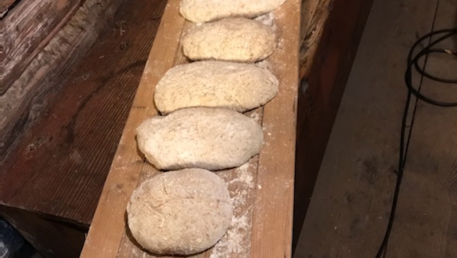 Brødemner på rekke og rad