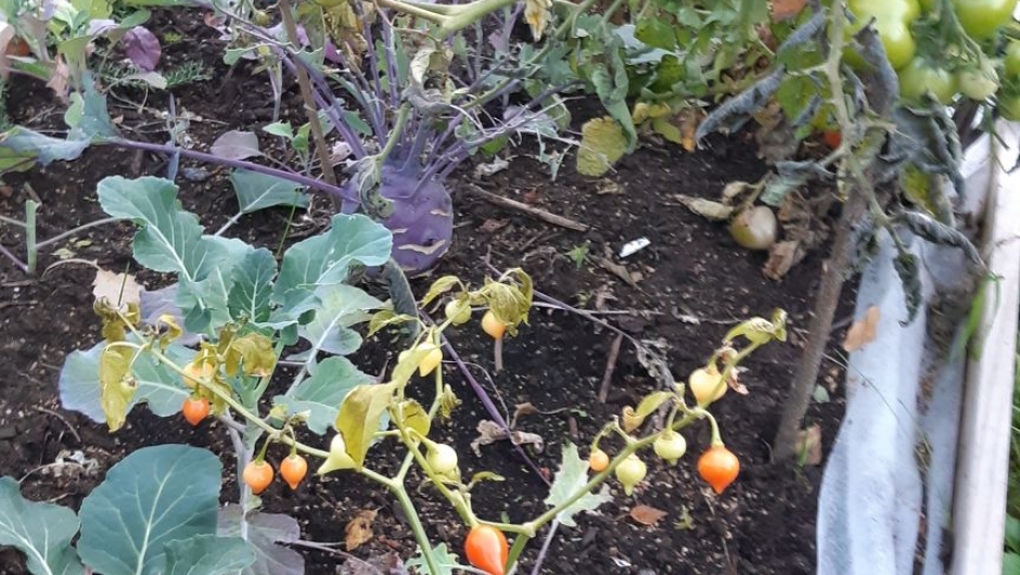 Litt av hvert Litt av hvert