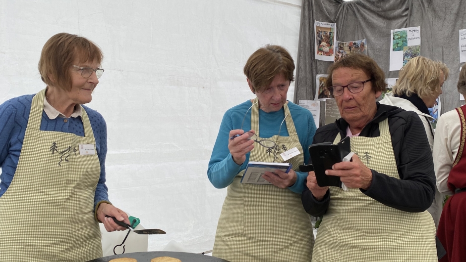 Steking og oppdatering på nettet Steking og oppdatering på nettet